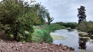 Arroyo Matanza - Obra hidráulica y terraplén