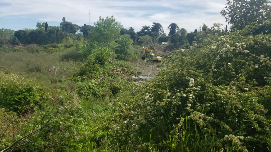 Desmalezado Predio Proyecto La Plata